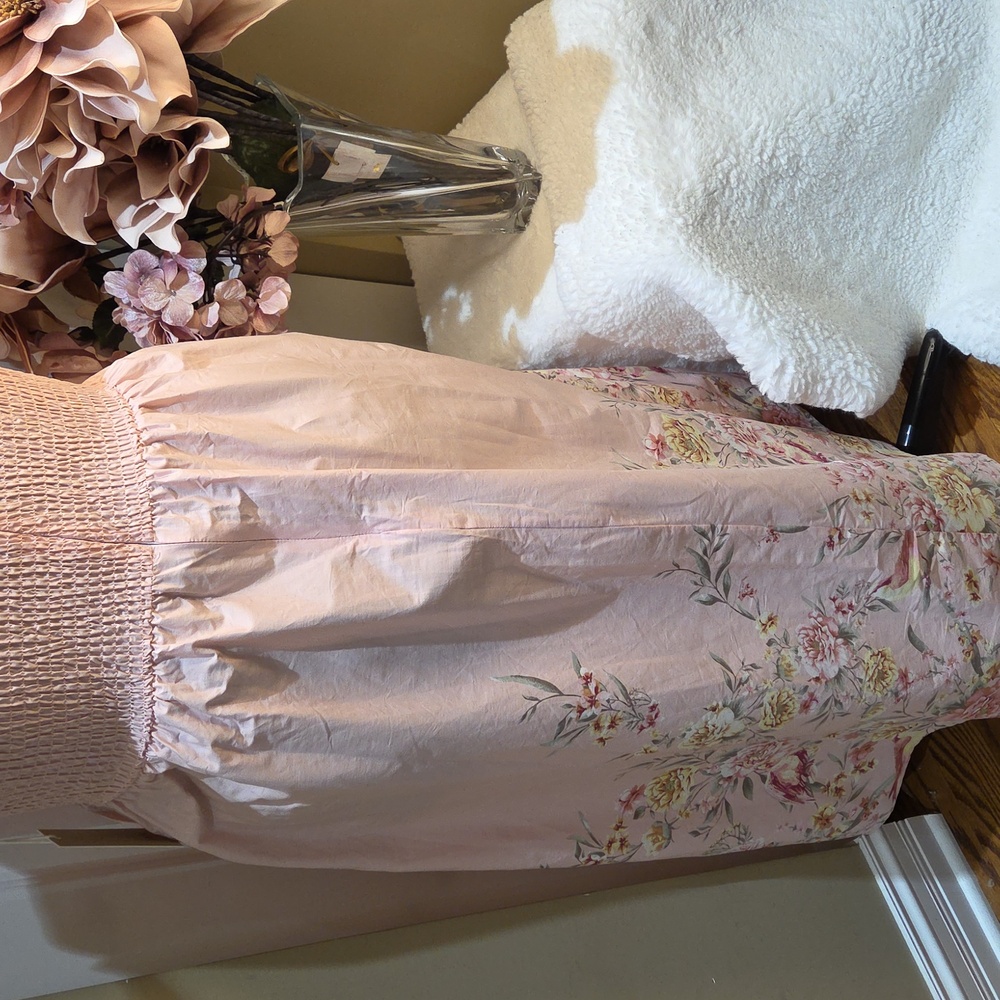 Nwt XL. Large. Medium Joie Light Pink Floral Maxi Dress  And Zipper In The Back - Picture 11 of 17